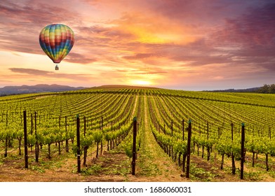 Beautiful Sunrise Sky, Mountains and Hot Air Balloon in Napa Valley Wine Country Vineyards.