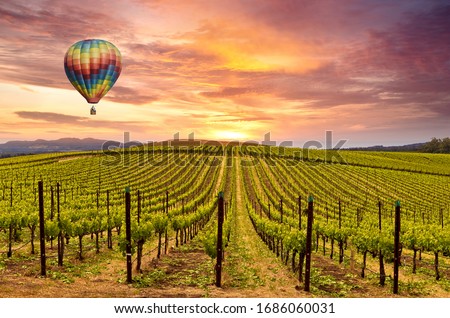 Beautiful Sunrise Sky, Mountains and Hot Air Balloon in Napa Valley Wine Country Vineyards.