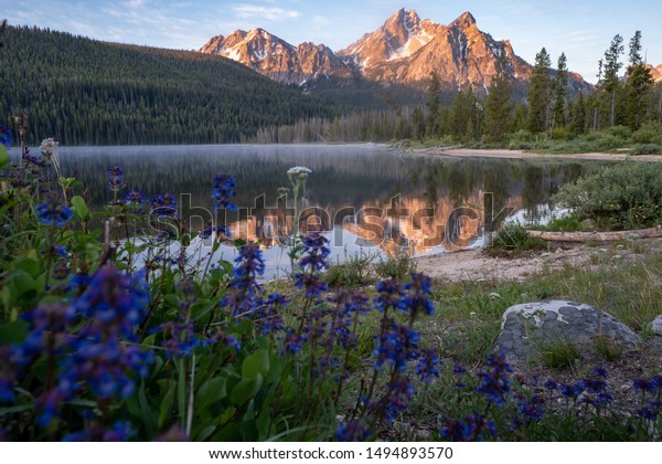 Beautiful sunrise at\
Stanley Lake in the Sawtooth Mountains of Idaho. Reflection in\
water with\
wildflowers