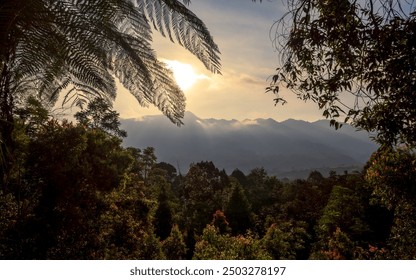 Beautiful sunrise view in forest with mountain - Powered by Shutterstock