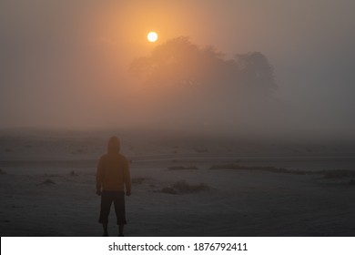 Beautiful sunrise view from Tree of Life, Bahrain during a foggy day in winter time. An unidentified traveler enjoying winter fog. - Powered by Shutterstock