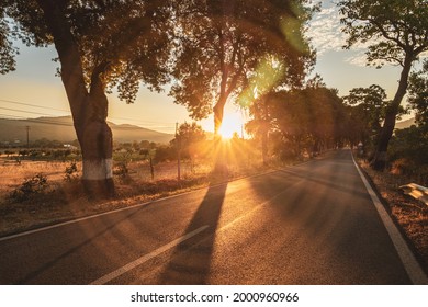 Beautiful Sunset In Alentejo Road