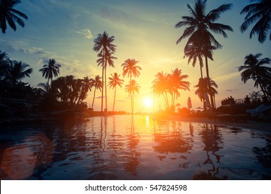 Beautiful sunset among the palms on a tropical beach.