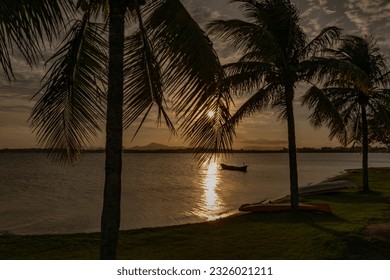 Beautiful sunset at Araruama Lagoon observed through the leaves of a coconut tree planted on the banks of the Lagoon, and the golden reflections in the waters. Araruama Rio de Janeiro Brazil - Shutterstock ID 2326021211