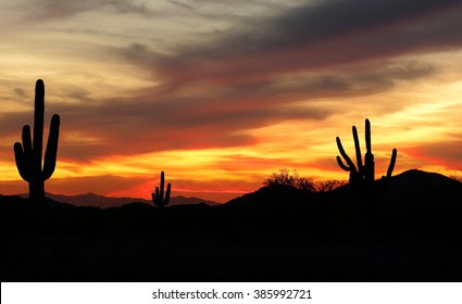 Beautiful Sunset In The Arizona Desert With Silhouette Of Cactus 