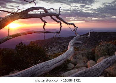 Beautiful Sunset In Austrailia