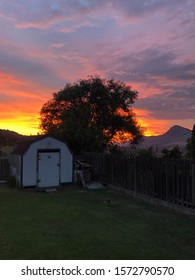 Beautiful Sunset In The Backyard.