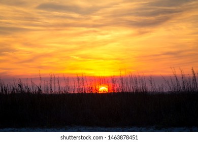 Beautiful Sunset With Beach Grass Silhouette 