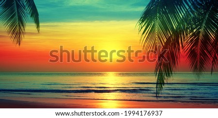 Beautiful sunset beach landscape, exotic tropical island nature, blue sea water, ocean waves, colorful red yellow sky, palm tree leaves silhouette, golden sun glow reflection, summer holidays vacation