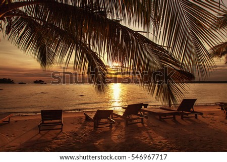 Beautiful sunset at the beach with palm trees and beach chair. Holliday concept.