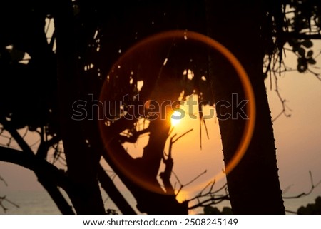 Image, Stock Photo silhouettes before glowing sun