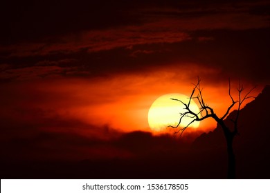 Beautiful Sunset Bright Red Sun Thick Stock Photo 1536178505 | Shutterstock