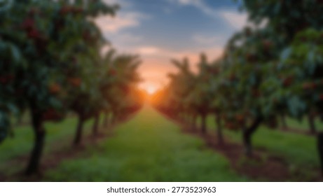 A beautiful sunset captured through rows of trees in an orchard. The suns rays create a warm and inviting atmosphere. The image showcases natural beauty and tranquility.