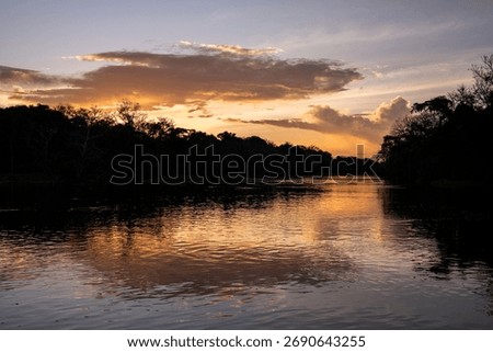 Beautiful sunset clouds in the amazon rainforest, Mamirauá Reserve, Amazonas, Brazil