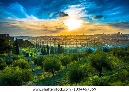 Beautiful sunset clouds over the Old City Jerusalem with Dome of the Rock, the Golden (Mercy) Gate and St. Stephen's or Lions Gate; view from the Mount of Olives with olive trees in the foreground Stock photo © 