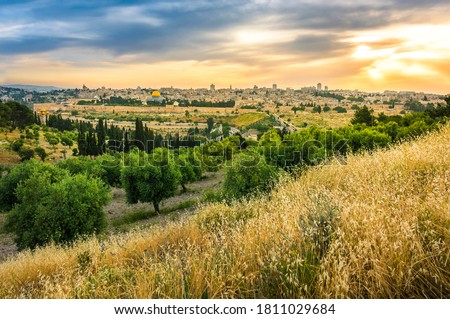 Beautiful sunset clouds over the Old City Jerusalem with Dome of the Rock, the Golden/Mercy Gate and St. Stephen's/Lions Gate; view from the Mount of Olives with olive trees and dry grassy hill Stock photo © 