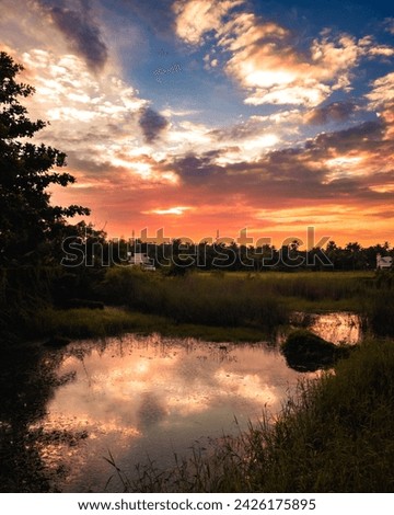 Beautiful sunset, colorful dusk evening sky reflection in lake behind the bayou of cypress swamp in California. Landscape western country nature photography of afternoon twilight on river in Florida.