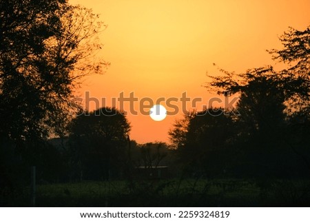 Beautiful Sunset evening Neota Jaipur