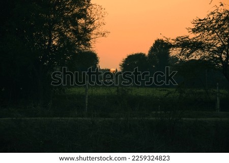 Beautiful Sunset evening Neota Jaipur