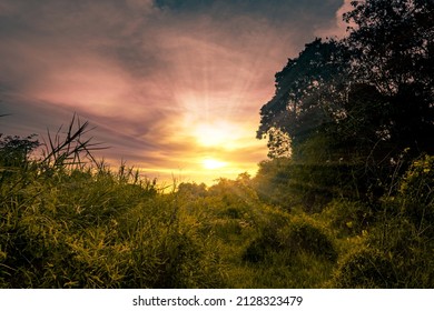 Beautiful sunset in forest with dramatic sky - Shutterstock ID 2128323479