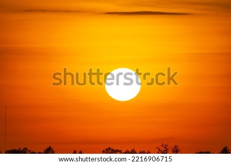 Beautiful sunset, full of the sun On the red background of the sunset light,Denote the end of the day.sunset and sunrise concept.Safari theme. The big sun set Real image