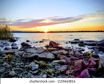 Bizard Images Stock Photos Vectors Shutterstock