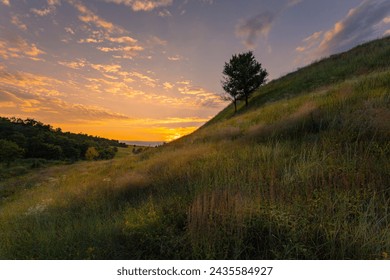 Beautiful sunset landscape with a lonely tree on a motley grass hill under the gorgeous evening sky.