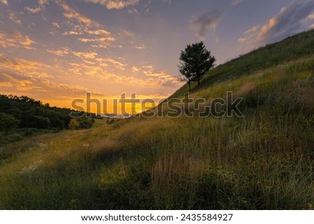 Beautiful sunset landscape with a lonely tree on a motley grass hill under the gorgeous evening sky.