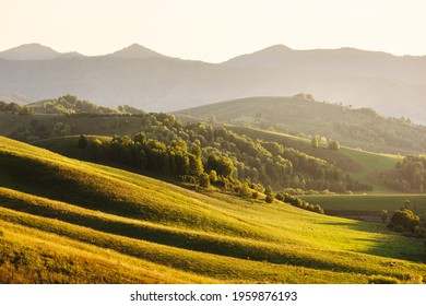 Beautiful Sunset Landscape. Rolling Hills, Road And Forest