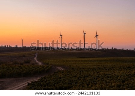 Beautiful sunset landscape shot with four wind turbines on a vine field.