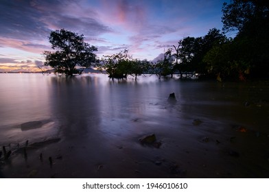 Beautiful sunset landscape with tree silhouettes on low tide beach.