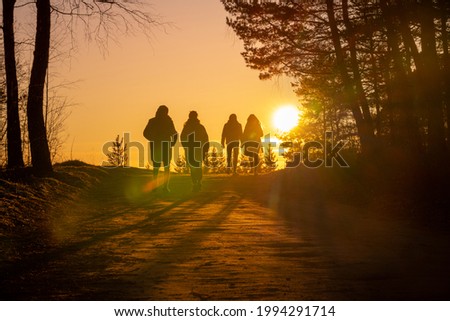 Beautiful Sunset Light and Road in Background. People are walking out of the Forest. Evening