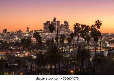 Beautiful Sunset Of Los Angeles Downtown Skyline And Palm Trees In Foreground