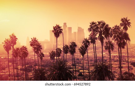 Beautiful sunset of Los Angeles downtown skyline and palm trees in foreground - Shutterstock ID 694527892