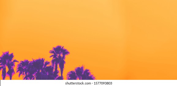 Beautiful sunset of Los Angeles palm trees synth wave style