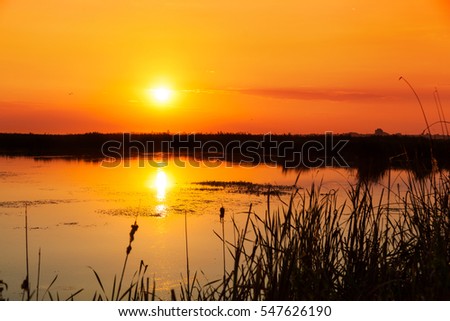 Beautiful sunset in Natural Park Comana in Giurgiu, Romania. Comana became protected area since 30 noiembrie 2004. Imagine de stoc © 