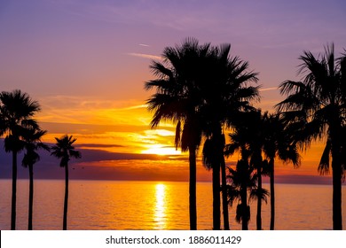 Beautiful Sunset On Anna Maria, Island