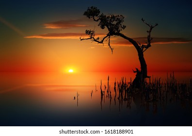 Beautiful Sunrise High Res Stock Images Shutterstock