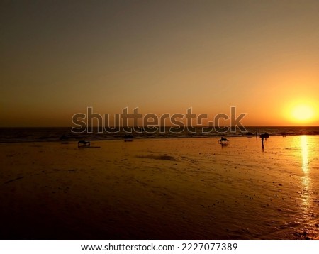 Similar – seagulls at sunset in the mudflats.