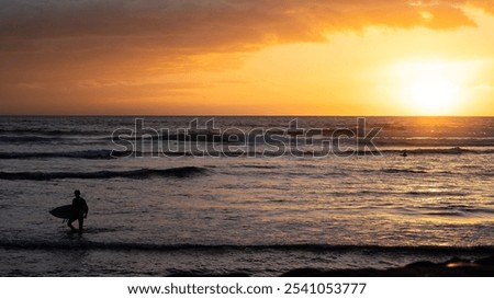 Beautiful sunset on the shores of the Canary Islands. Canary Islands. Pacific Ocean. Surfers against the backdrop of sunset.