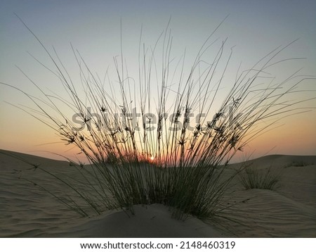 side wind Desert Sand Dune