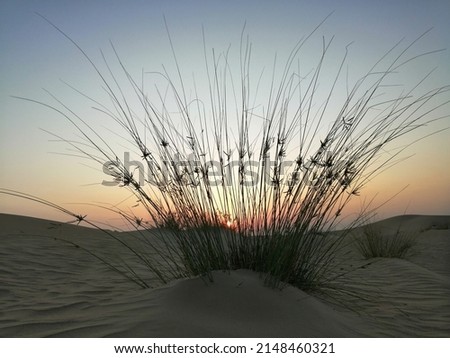 Similar – side wind Desert Sand Dune