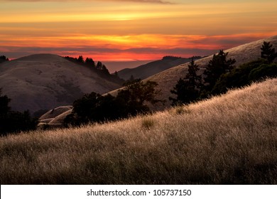 Beautiful Sunset Over Golden Valley In The Santa Cruz Mountains Of California, Pacific Ocean In Background