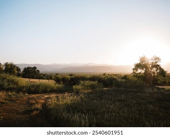 Beautiful Sunset Over Grassy Field and Rolling Hills with Tree Silhouette and Mountains in the Distance - Powered by Shutterstock