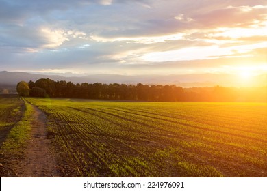 Beautiful sunset over the green large field