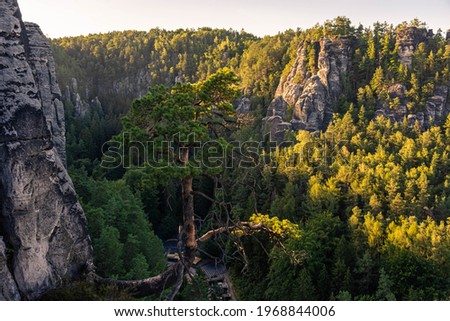 Similar – Image, Stock Photo Saxon Switzerland