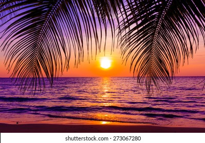 Beautiful Sunset.  Sunset Over The Ocean With Tropical Palm Trees.  Paradise Beach