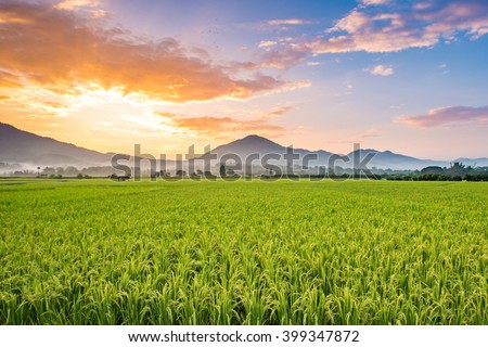 Beautiful sunset over the paddy fields at Phrao, Chiang Mai, Thailand.