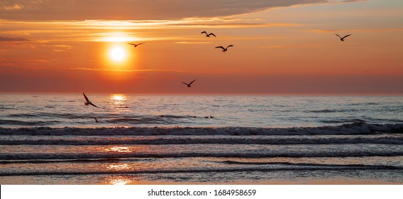 Beautiful sunset over the sea with birds