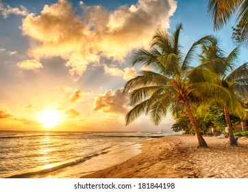 Beautiful sunset over the sea with a view at palms on the white beach on a Caribbean island of Barbados - Shutterstock ID 181844198